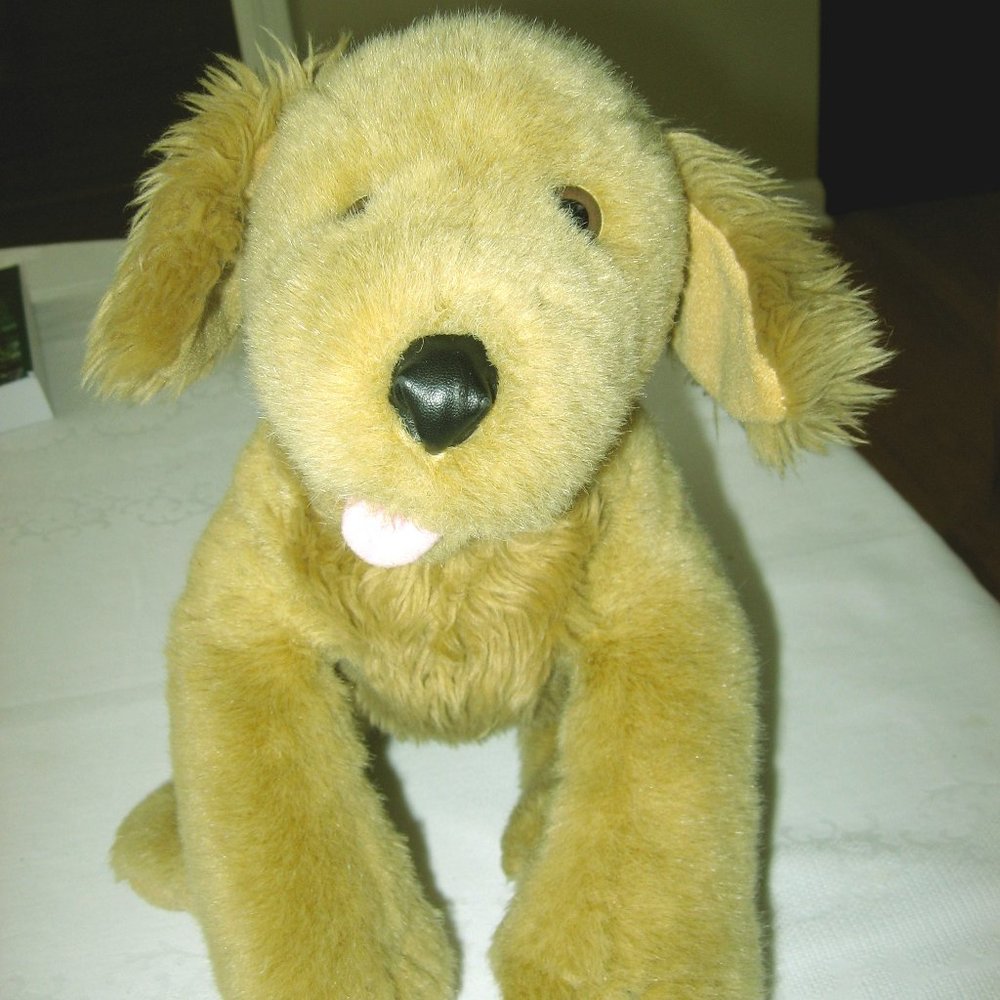 Build A Bear Golden Retriever Dog & Dance Outfit